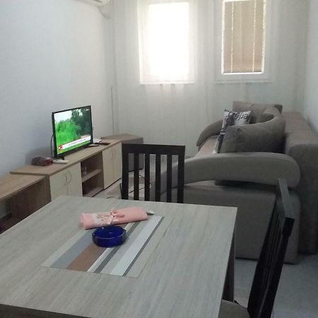 Apartman Jevtic 1 Gornja Toplica Esterno foto